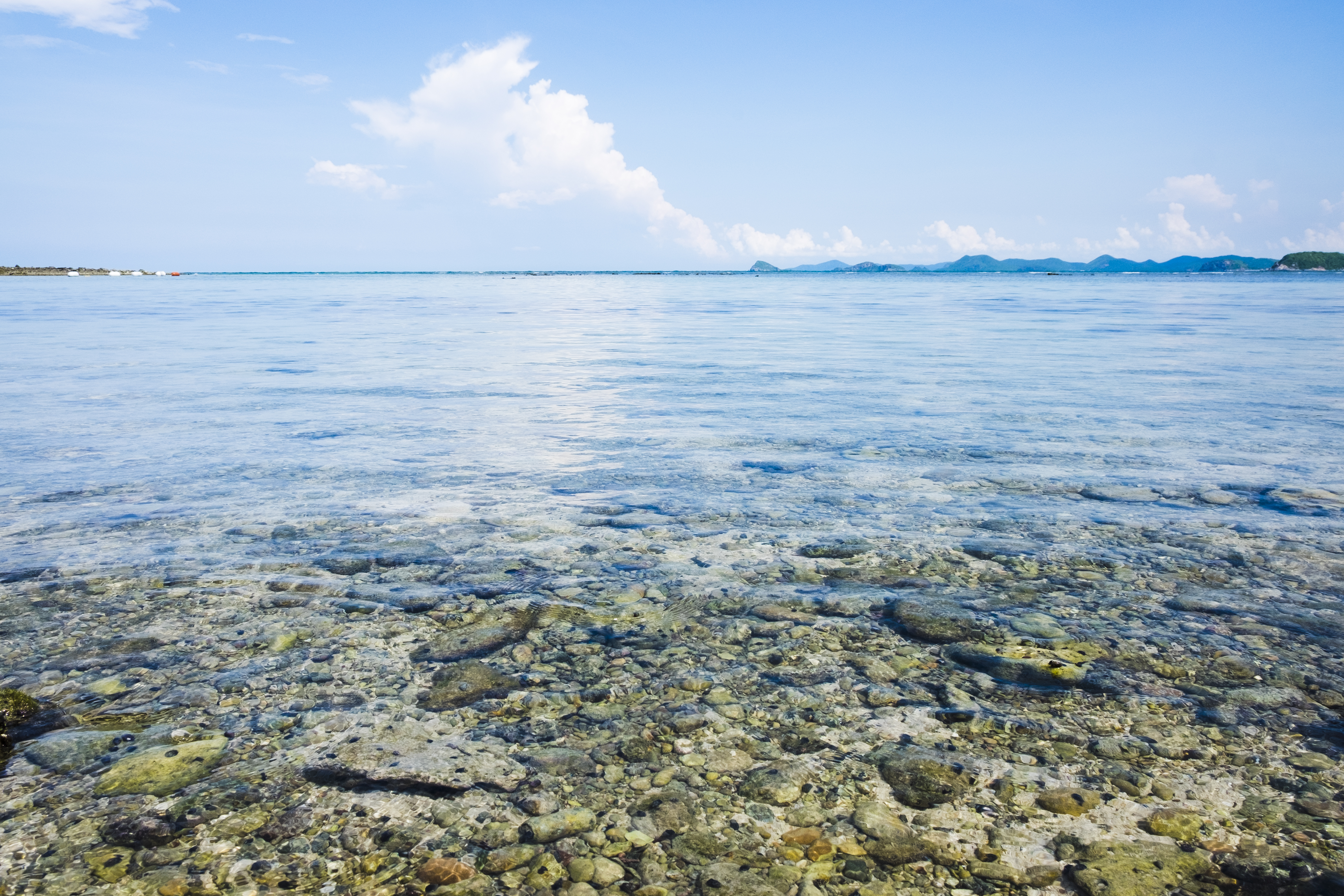 Ocean Background